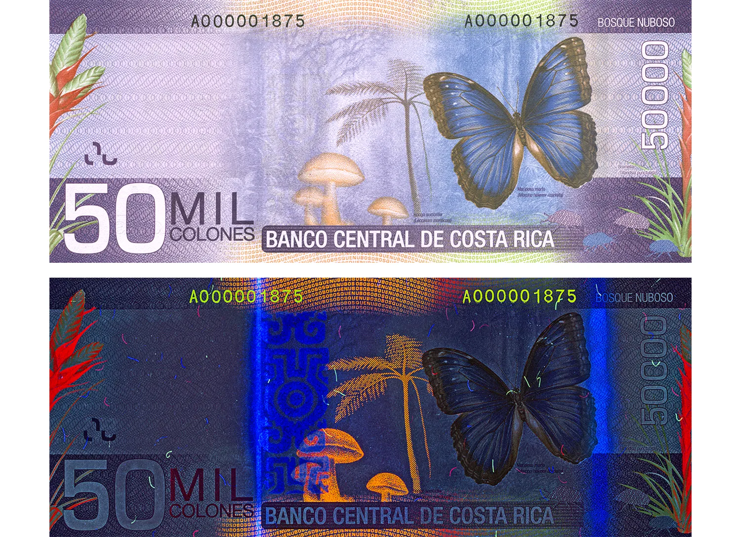 Costa Rican colón of the 2009 series